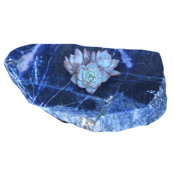 SODALITE POLISHED